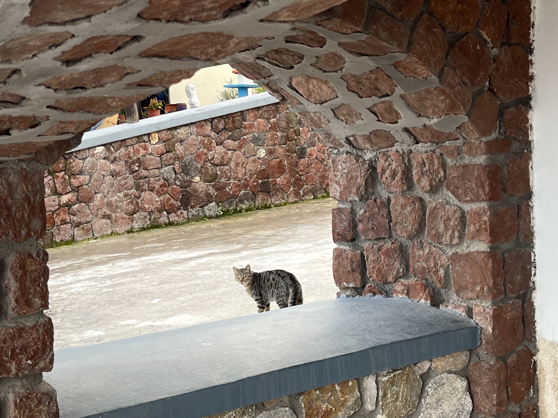石拱下的猫，希腊旅行摄影