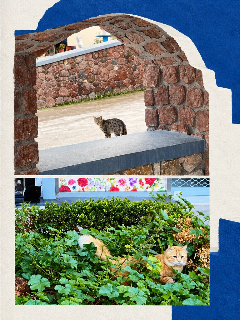 猫有自己的路 · 右页。图中文字：街巷里，生活照常。